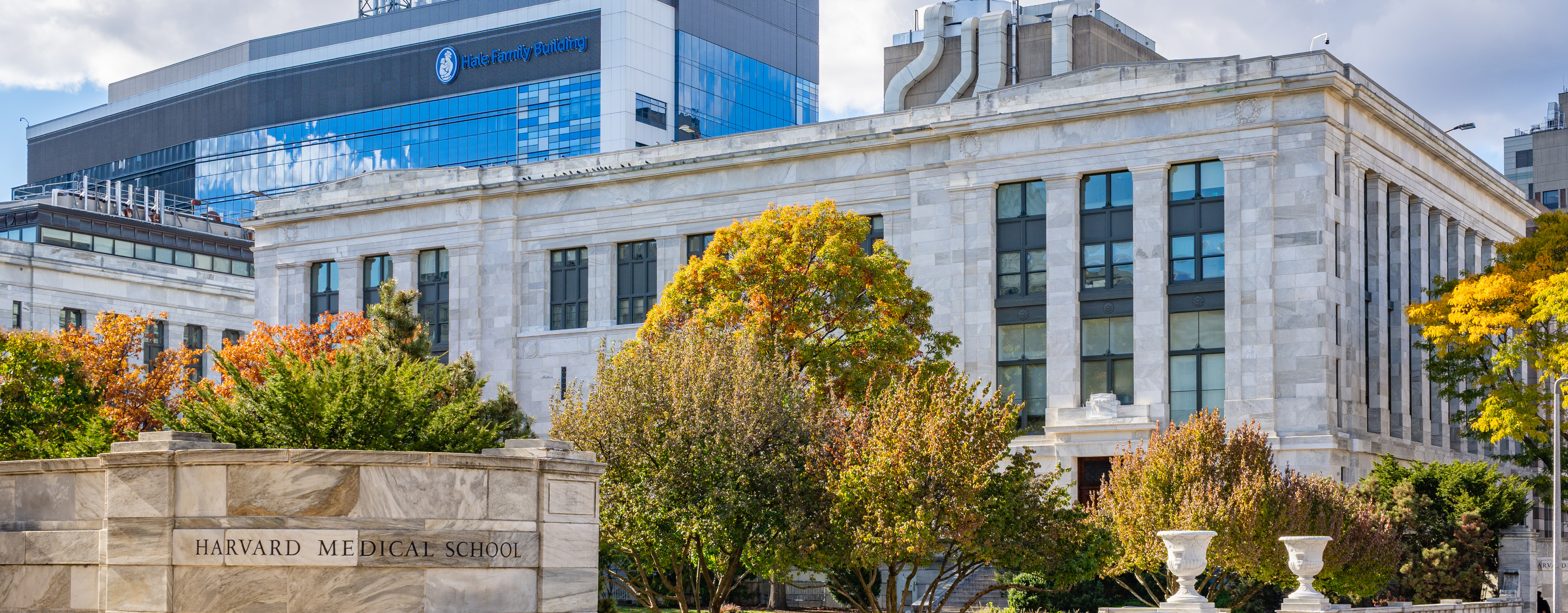 Decorative exterior view of HMS quad, trees and TMEC building.