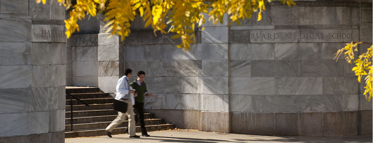Students walking down stone steps on the HMS campus. 