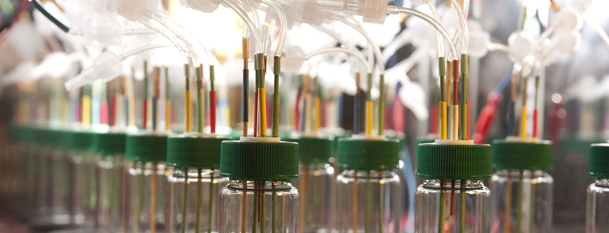 A row of research lab tubes and colorful pipettes