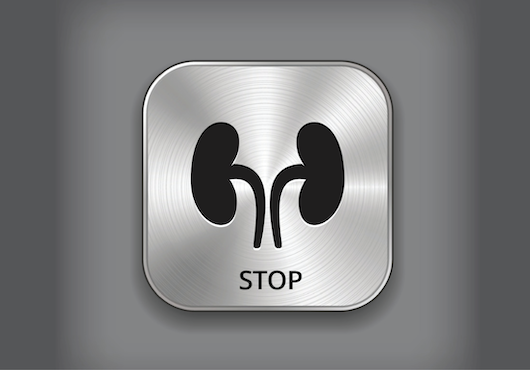 Image of kidneys on a grey background