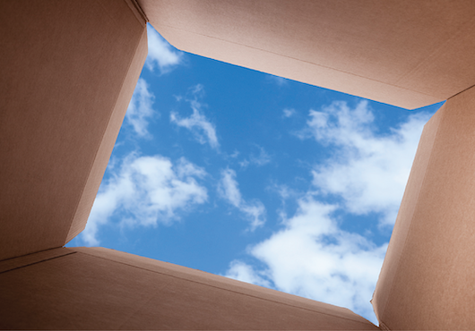 View from inside cardboard box looking up at the sky