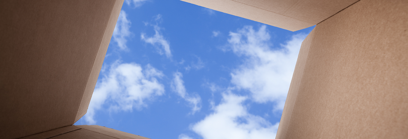 HMS Bioethics Journal: Looking up at a blue sky from inside a cardboard box.